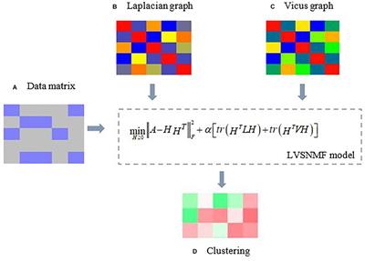 Microbiome Data Analysis by Symmetric Non-negative Matrix Factorization With Local and Global Regularization